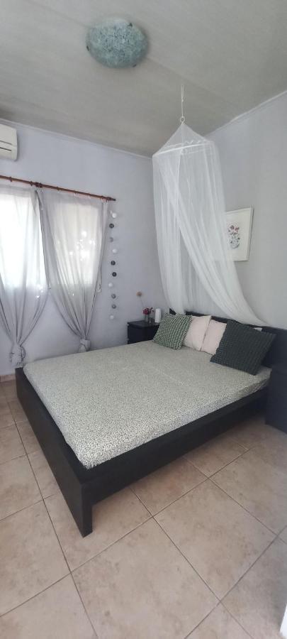 Villa Εξοχικό Maria Ambelakia Exterior foto